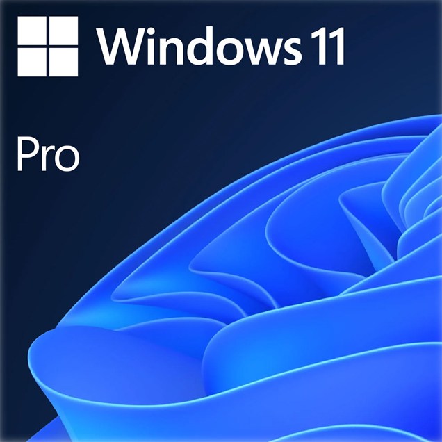 Microsoft Windows 11 Professional 64-bit, DVD, OEM Licence