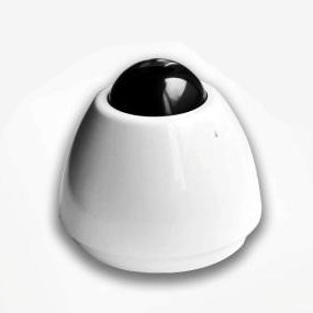 Y-Cam EyeBall IP Camera