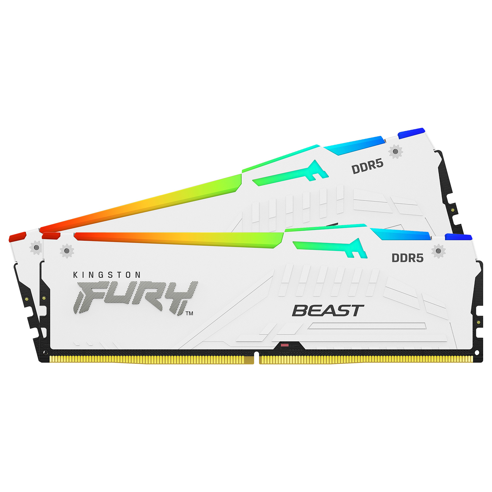 Kingston FURY Beast 32GB DDR5 Dual Channel Desktop Memory Kit, 2 x